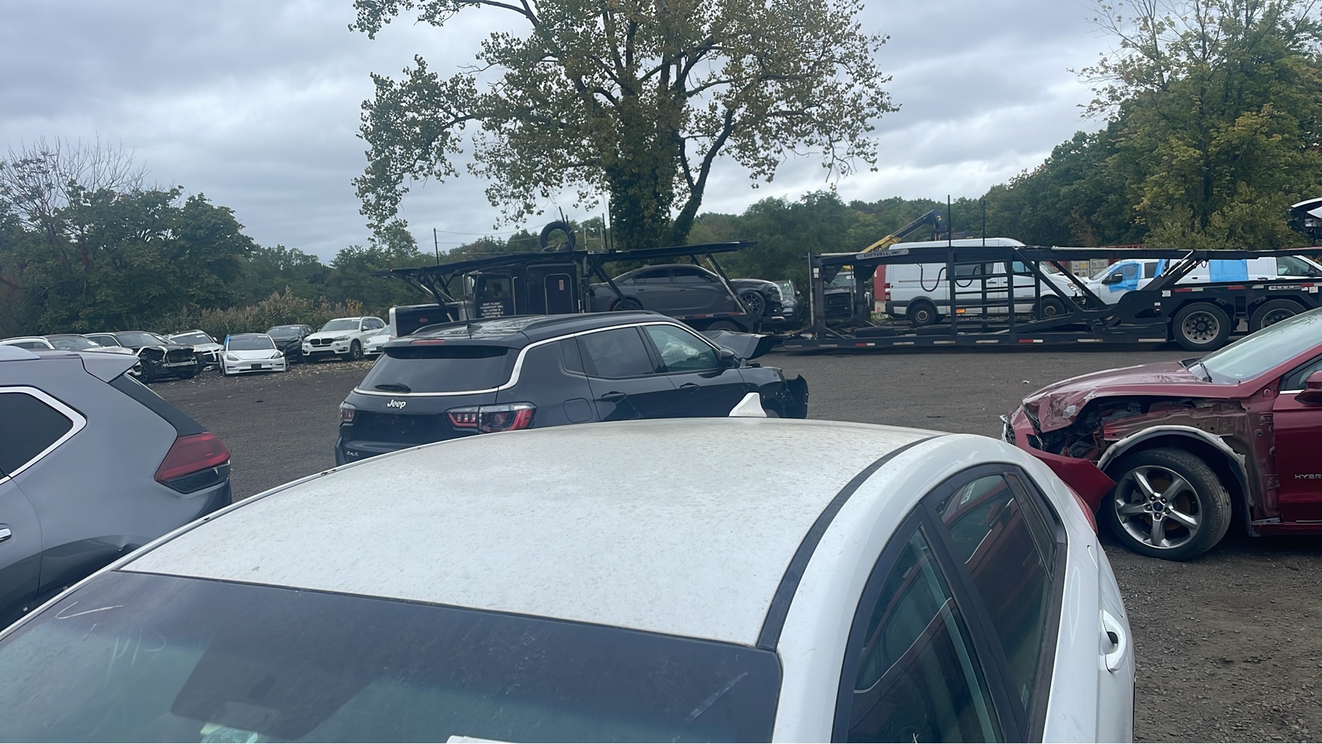 VS Brothers Car Sales and Shipping Company